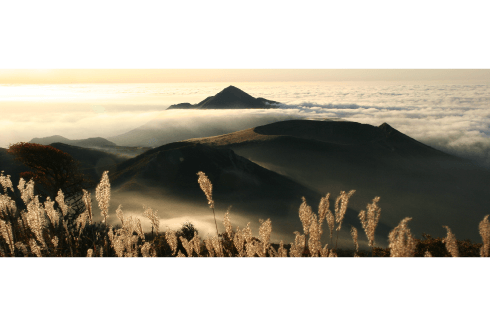 鹿児島県 霧島市