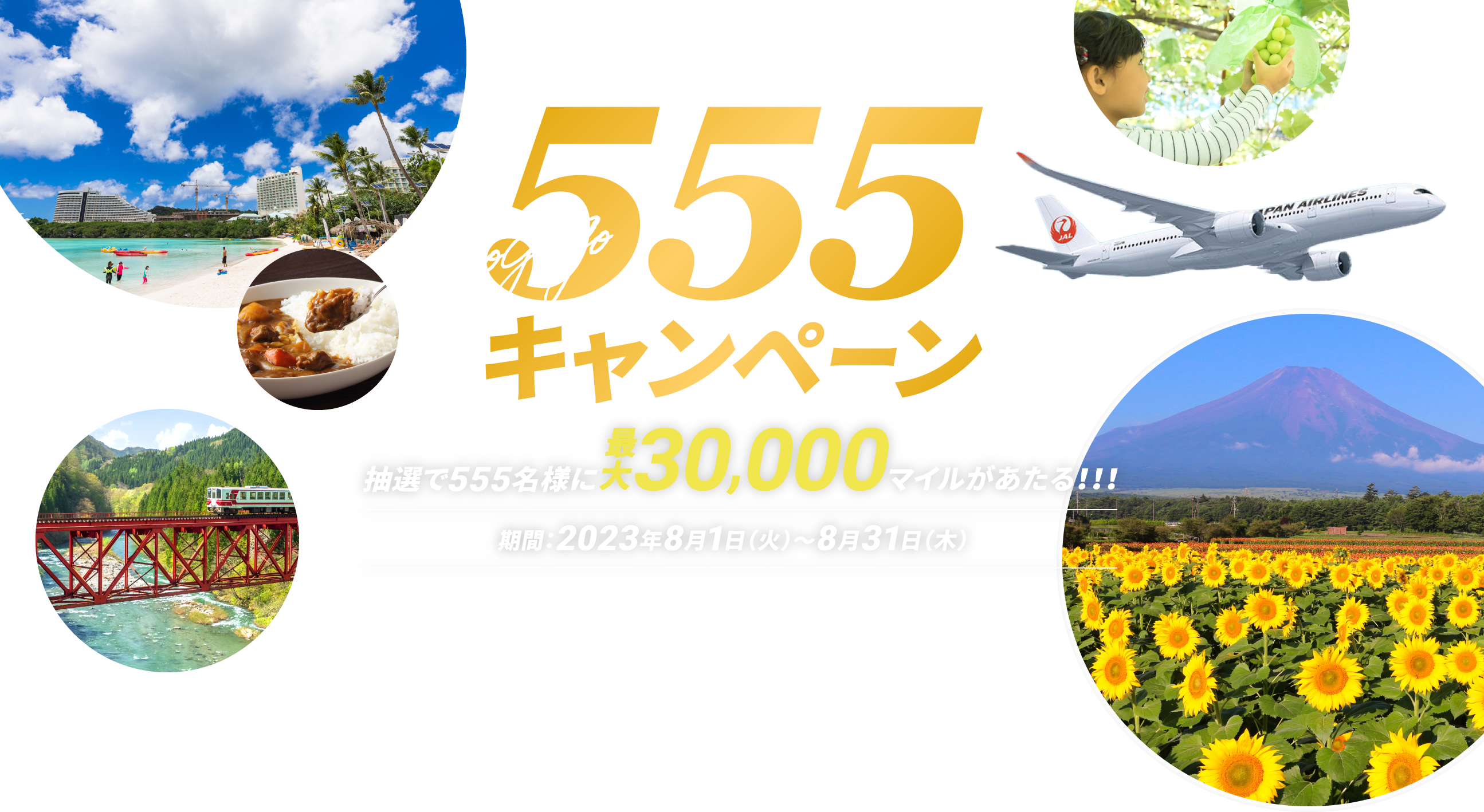 暑い夏を乗り切れ！555キャンペーン 抽選で555名様に最大30,000マイルがあたる！！！ 期間：2023年8月1日（木）～8月31日（火）