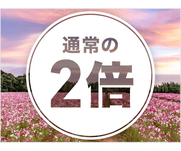 STEP3 イメージ画像