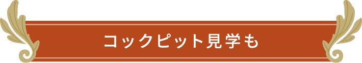 コックピット見学も