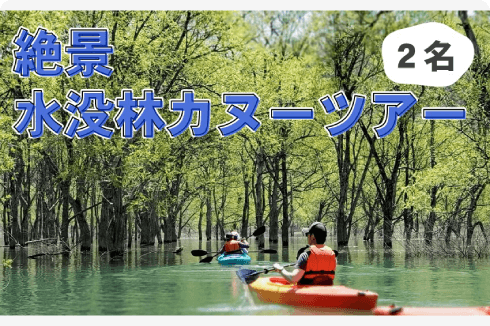 絶景 水没林カヌーツアー（2名様）プチ冒険へ出かけよう！