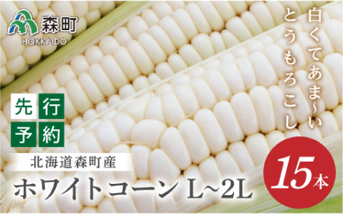 【先行予約】15本 白い とうもろこし ホワイトコーン L～2L（2024年7月下旬～9月中旬までに順次発送）…