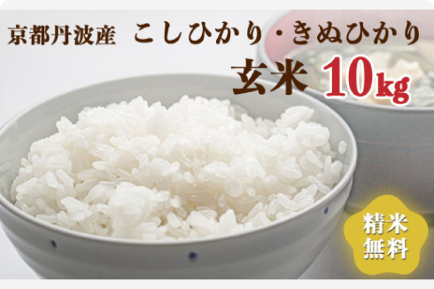 令和6年産 新米 先行予約 京都 丹波産 きぬひかり・こしひかりセット 玄米 10kg｜5つ星お米マイスター 厳選…