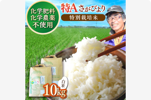 佐賀県産 特別栽培米Aランク 〈白米〉さがびより 10kg（5kg×2）吉野ヶ里町／種まきの会［FBO010］