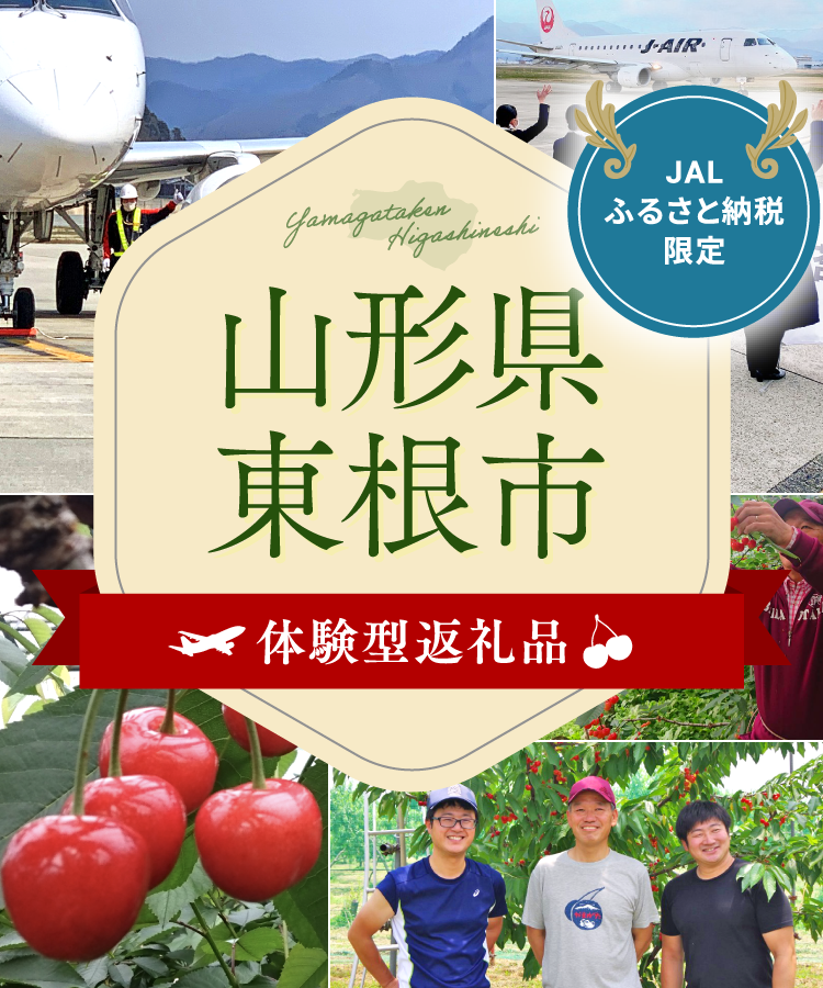 JALスタッフがご案内！阿蘇くまもと空港 夜の飛行機見学会 JALふるさと納税限定