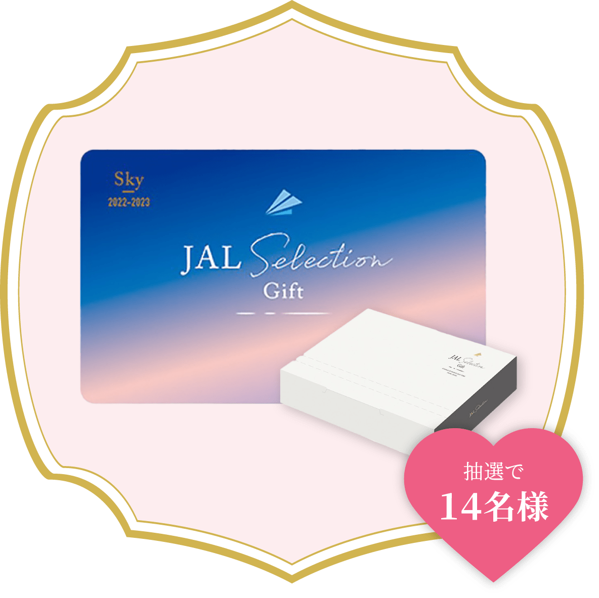 抽選で14名様