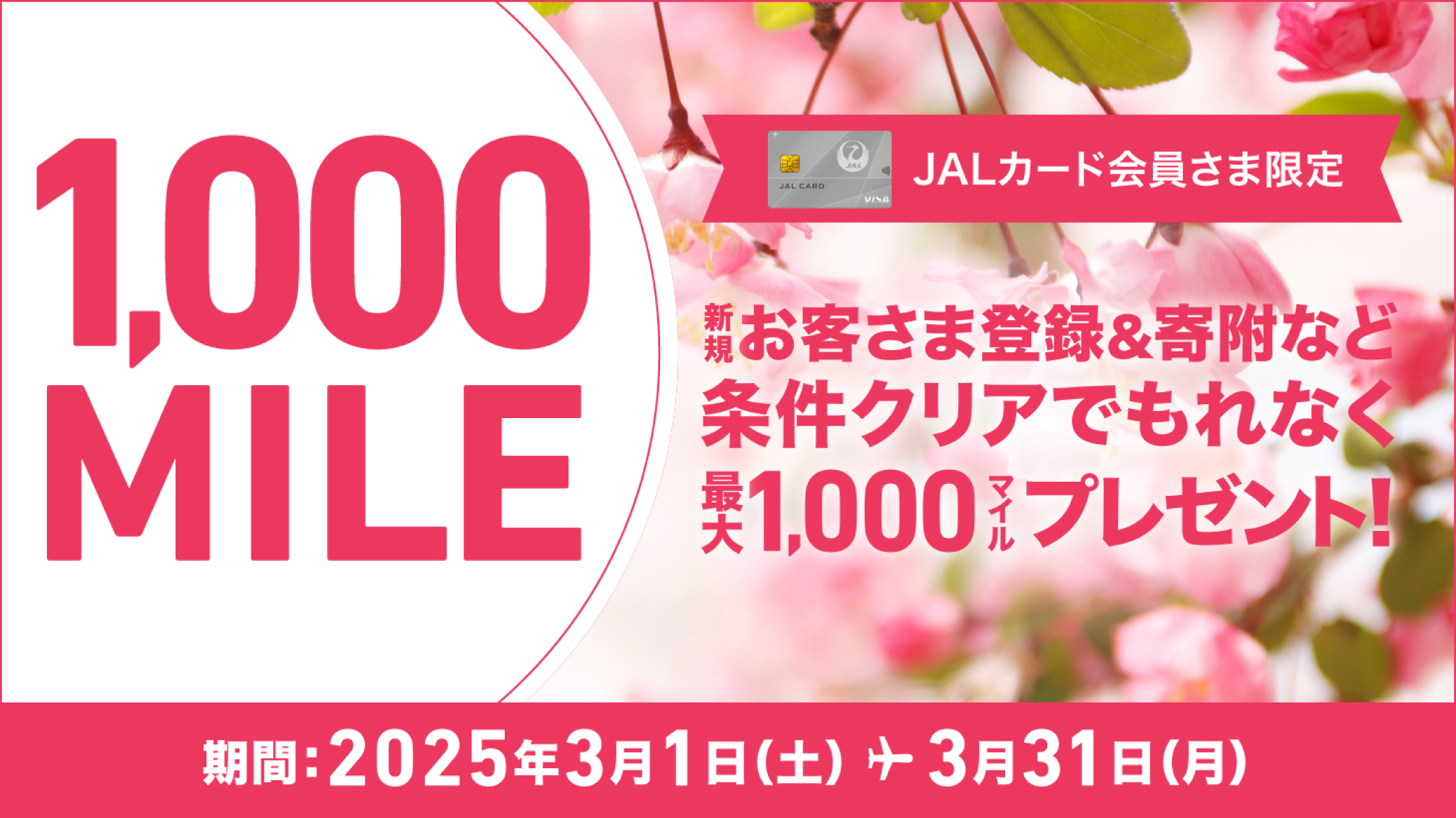 JALカード会員さま限定 新規お客さま登録＆寄附等条件クリアでもれなく600マイルプレゼント！　期間：2024年6月1日土曜日から6月30日日曜日まで