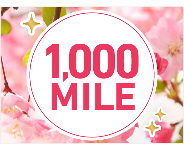 STEP3 イメージ画像