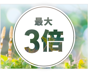 STEP3 イメージ画像