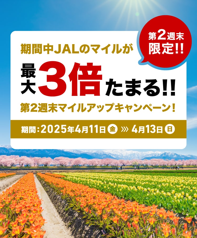 第2週末限定!!期間中JALのマイルが最大3倍たまる！！第2週末マイルアップキャンペーン！期間：2025年4月11日（金）から4月13日（日）
