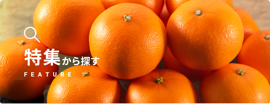 特集から探す