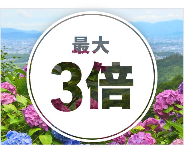 STEP3 イメージ画像