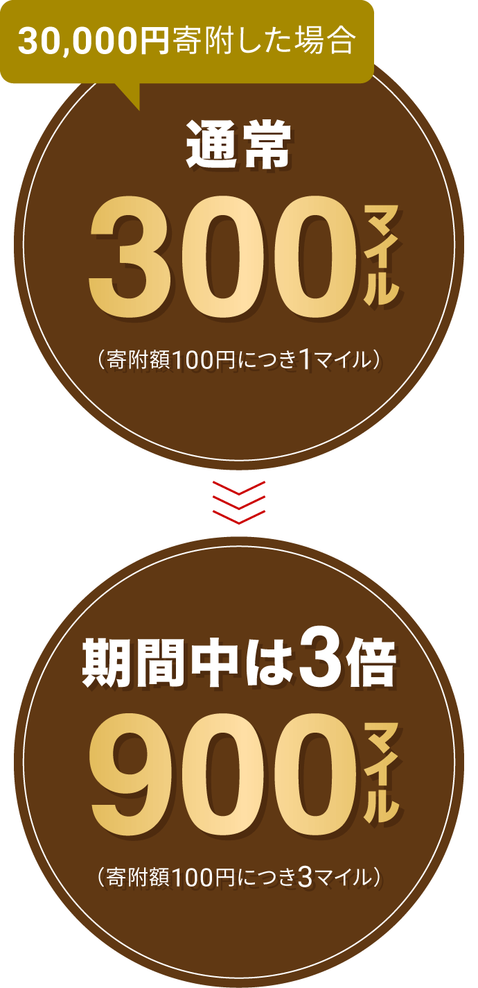 30,000円寄附した場合 通常300マイル（寄附額100円につき1マイル）→ 今だけ3倍!!900マイル（寄附額100円につき3マイル）