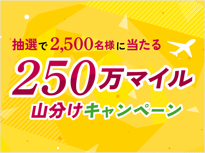 STEP4 イメージ画像
