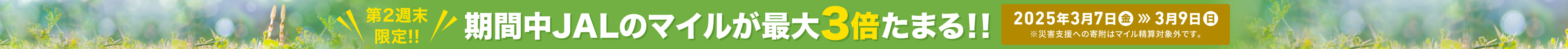 今月は 5日間開催 期間中 JALのマイルが最大 3倍たまる!! 2025年3月7日（金）〜3月9日（日） ※災害支援への寄附はマイル積算対象外です。