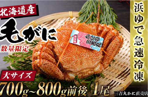 【大サイズ】北海道産 冷凍ボイル毛ガニ (700g-800g前後) 1尾