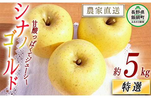 長野県 飯綱町りんご シナノゴールド 秀 ～ 特秀 5kg 減農薬栽培