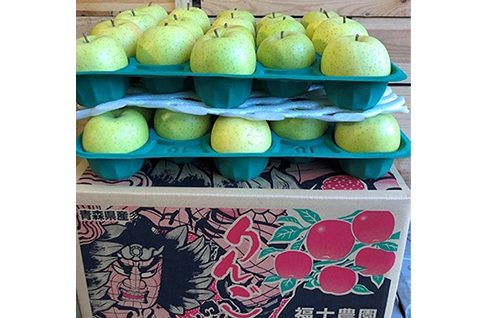 青森県 青森市
    【訳あり】 りんご 「王林」 家庭用 約10kg (28〜40玉) 糖度14度以上保証