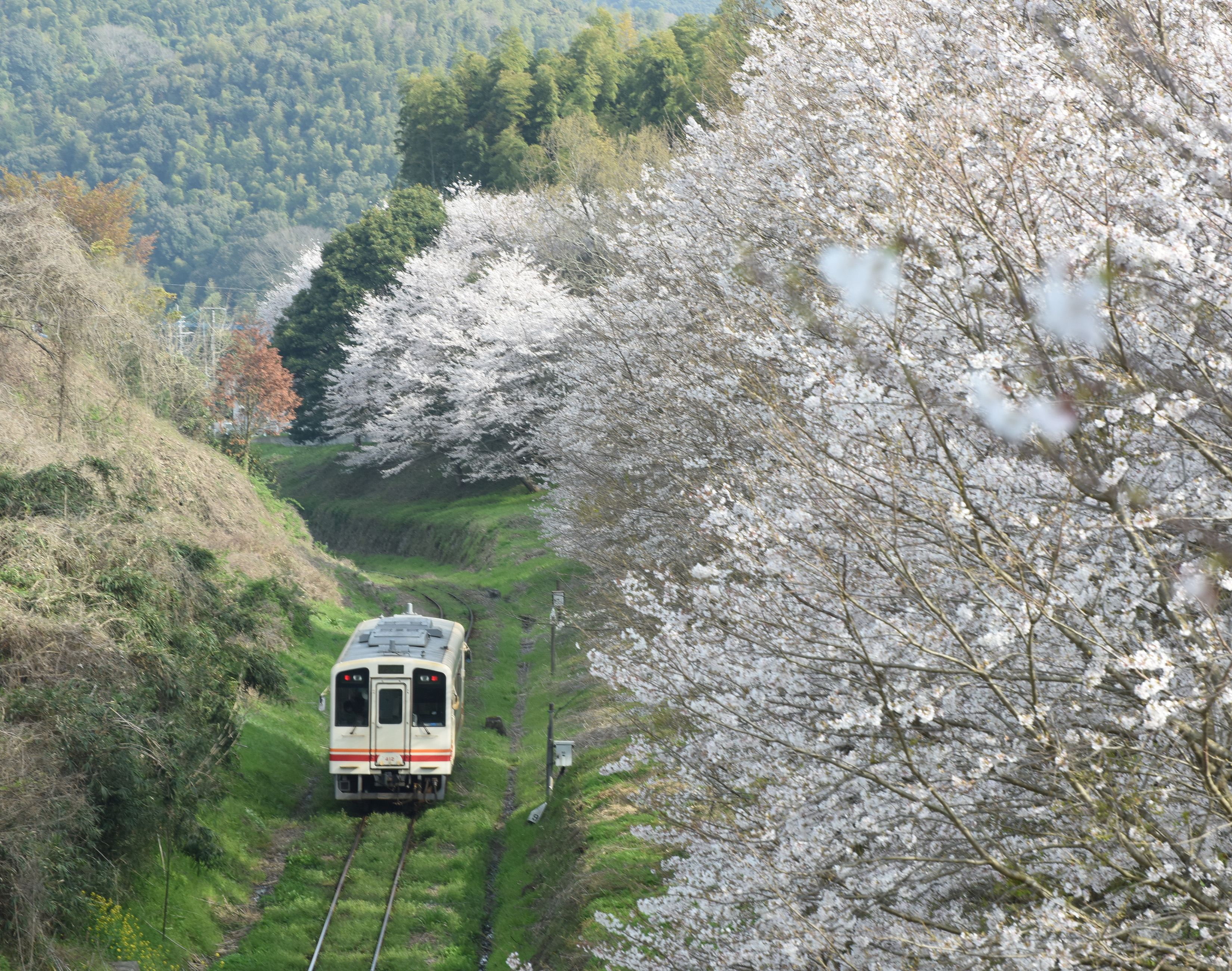 赤村