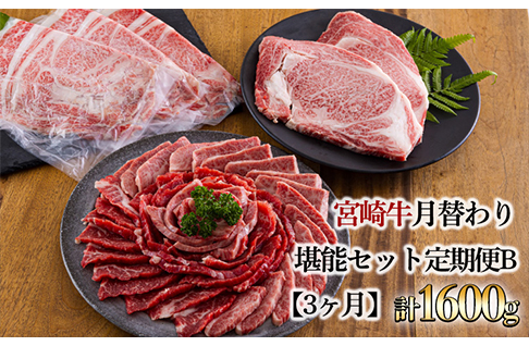 宮崎牛月替わり堪能セット定期便B[3ヶ月] 合計1600g