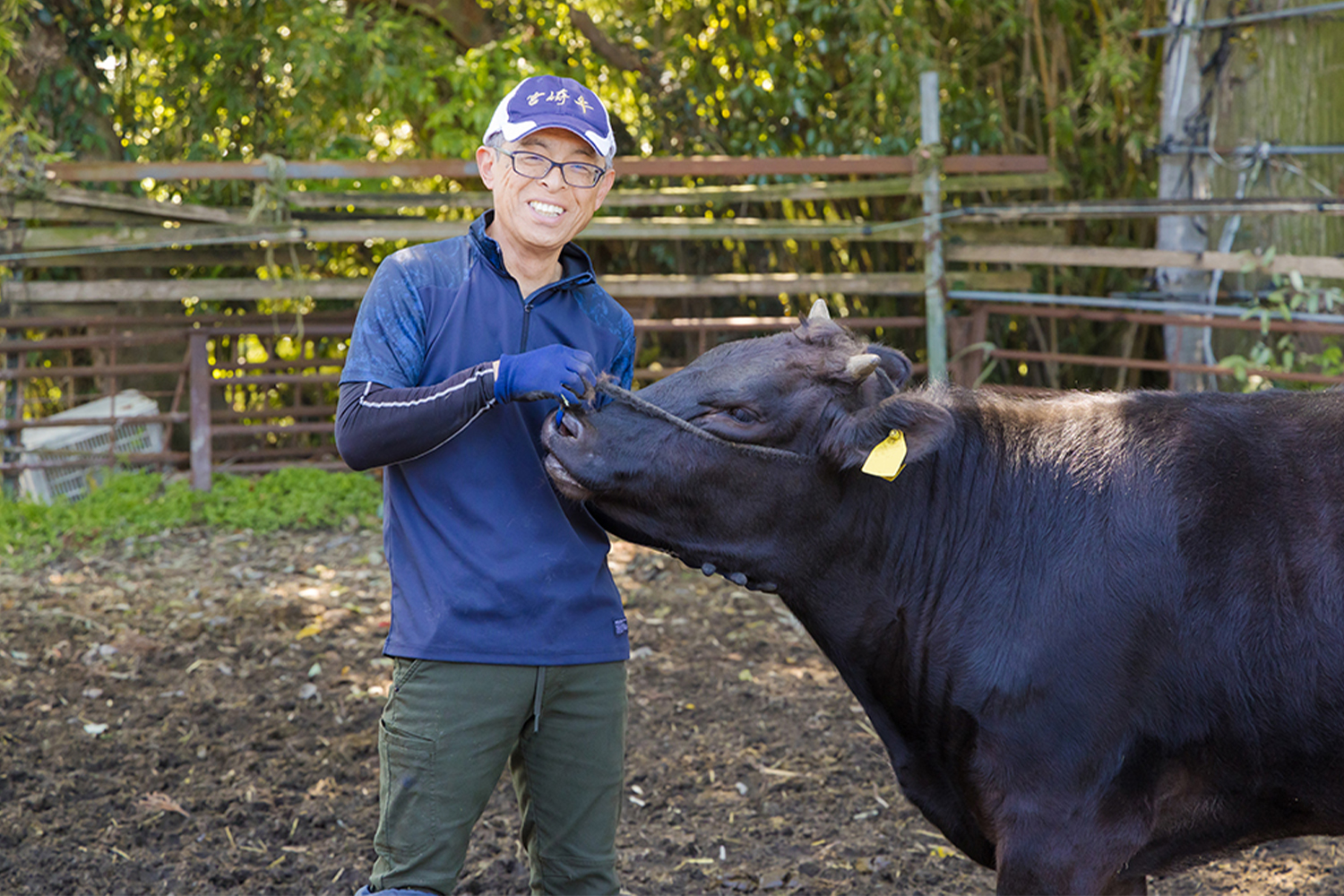 眠りを支える、4つの特長