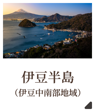 伊豆半島（伊豆中南部地域）