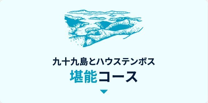 九十九島とハウステンボス堪能コース