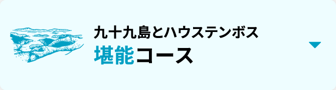 九十九島とハウステンボス堪能コース