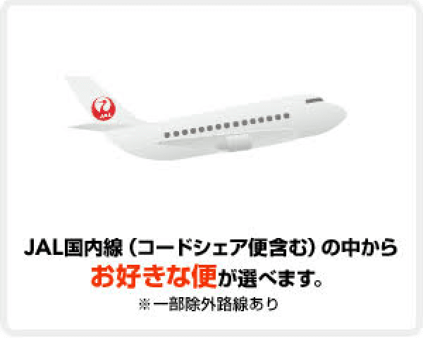 JAL国内線（コードシェア便含む）の中からお好きな便が選べます。※一部除外路線あり
