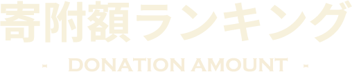 寄附額ランキング DONATION AMOUNT