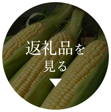 返礼品を見る