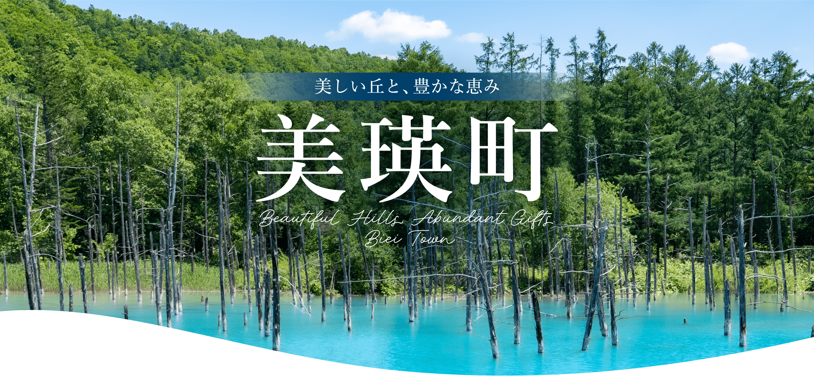 美しい丘と、豊かな恵み 美瑛町